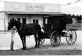 Sam Yoder is a carriage maker and one of the original descendants of the Yoder clan