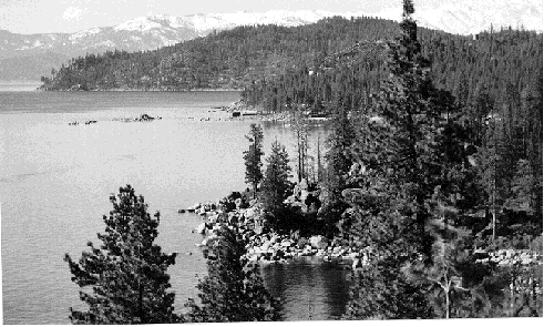 Lake Tahoe emerges among the trees as seen from Spooner Summit